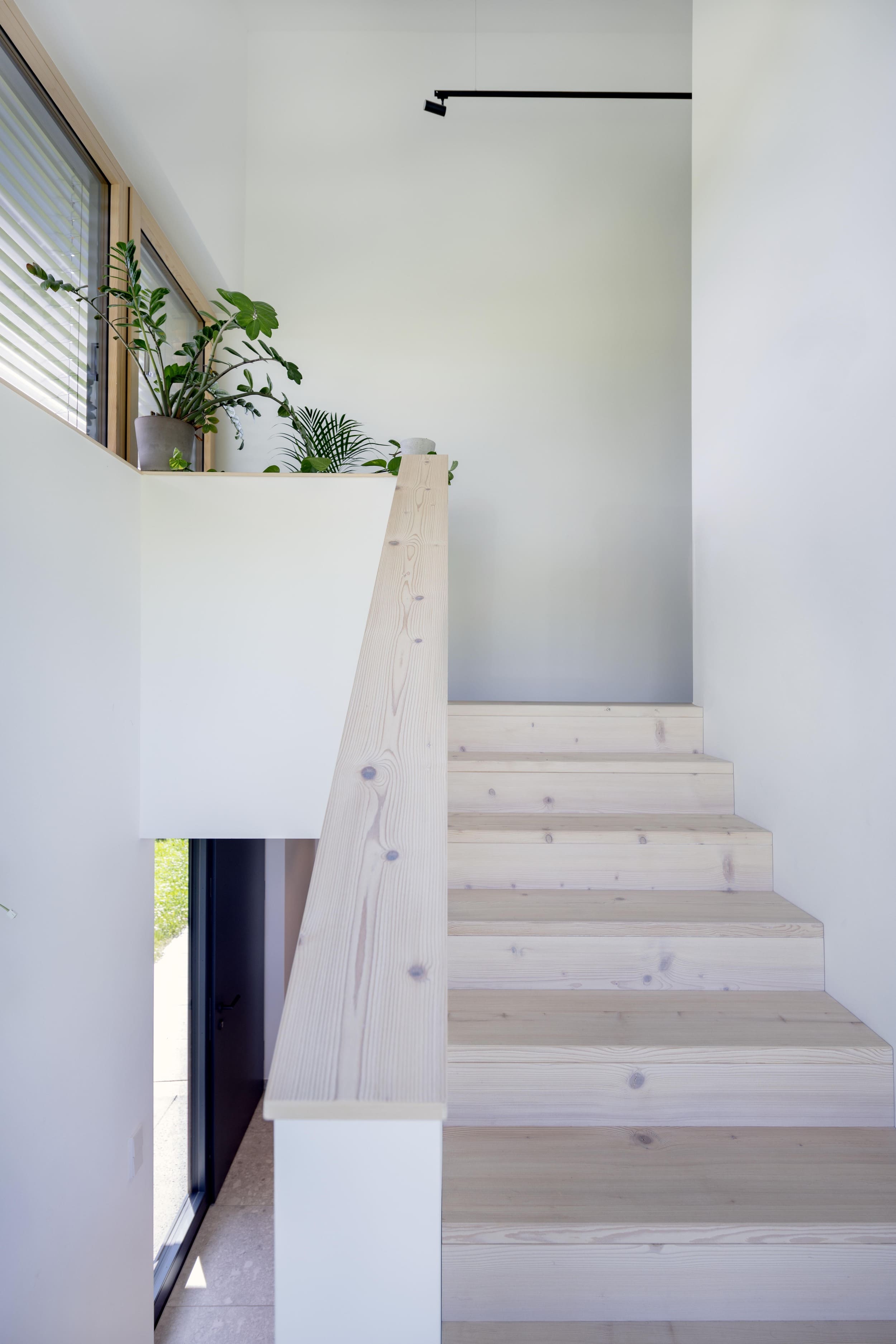 Eine helle Holztreppe führt nach oben, flankiert von Pflanzen auf einem Sims und einem modernen schwarzen Lichtstrahler.
